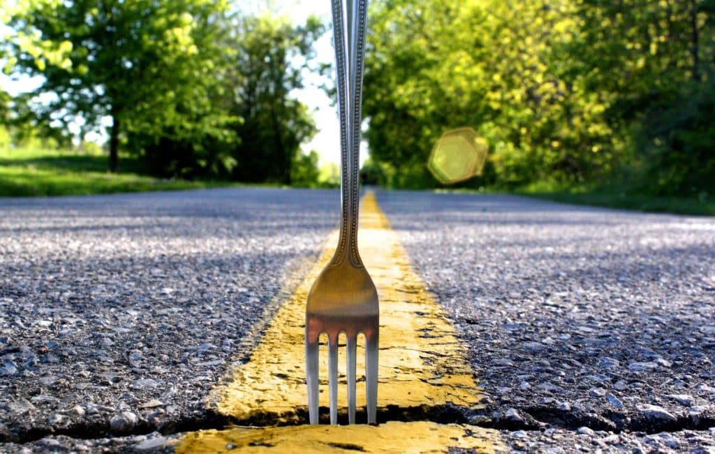 fork in the road deciding what to do with your life